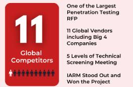 Largest Penetration Testing Project